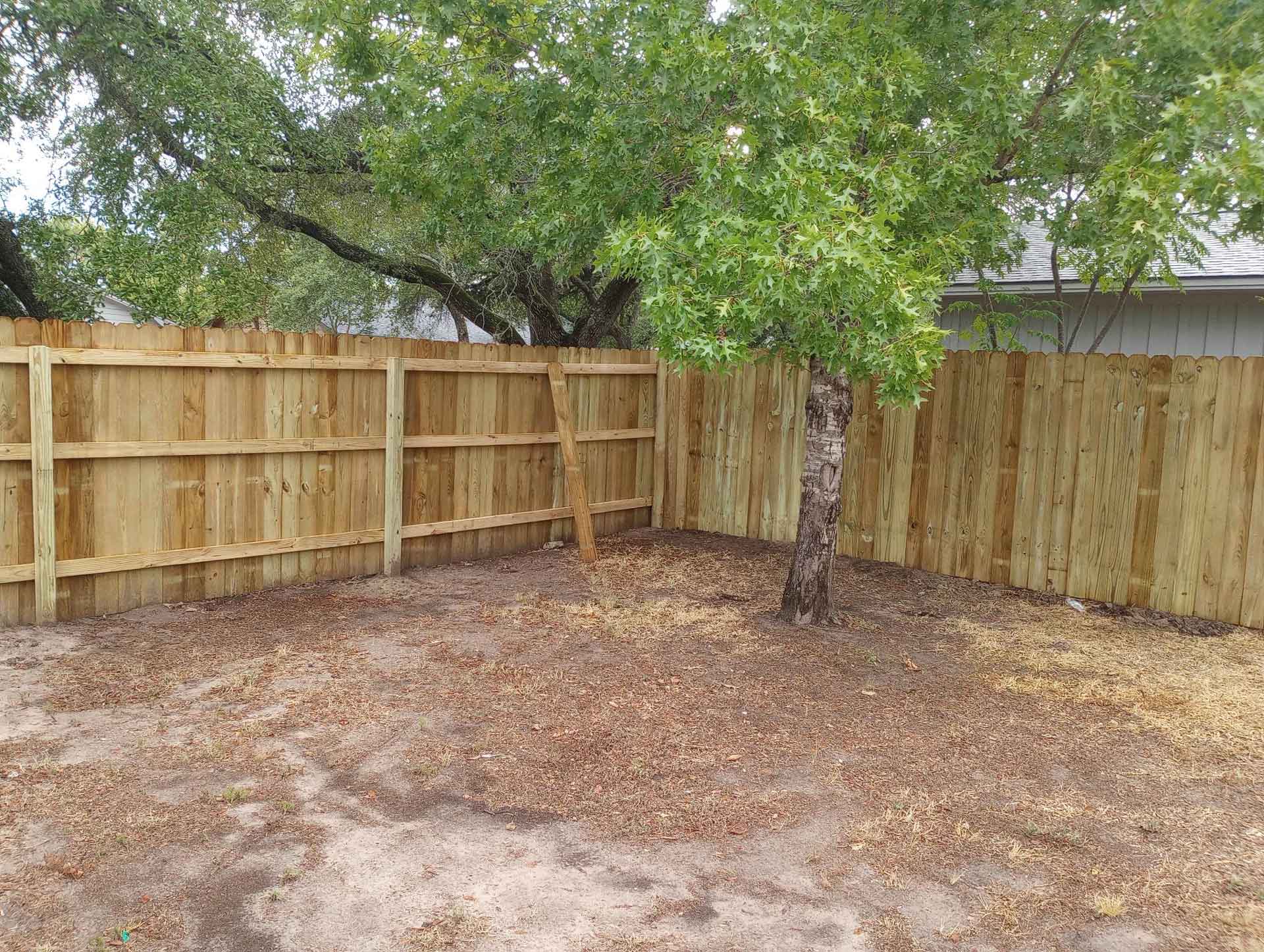 Wooden fence in a backyard with one tree