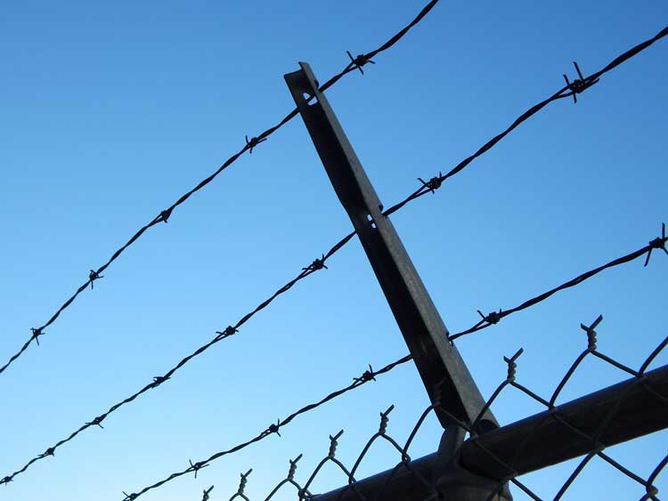 Low-angle shot of a barbed wire fence against a clear blue sky