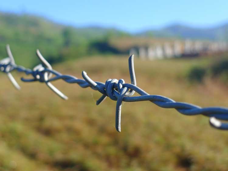 Close-up on barbed wire