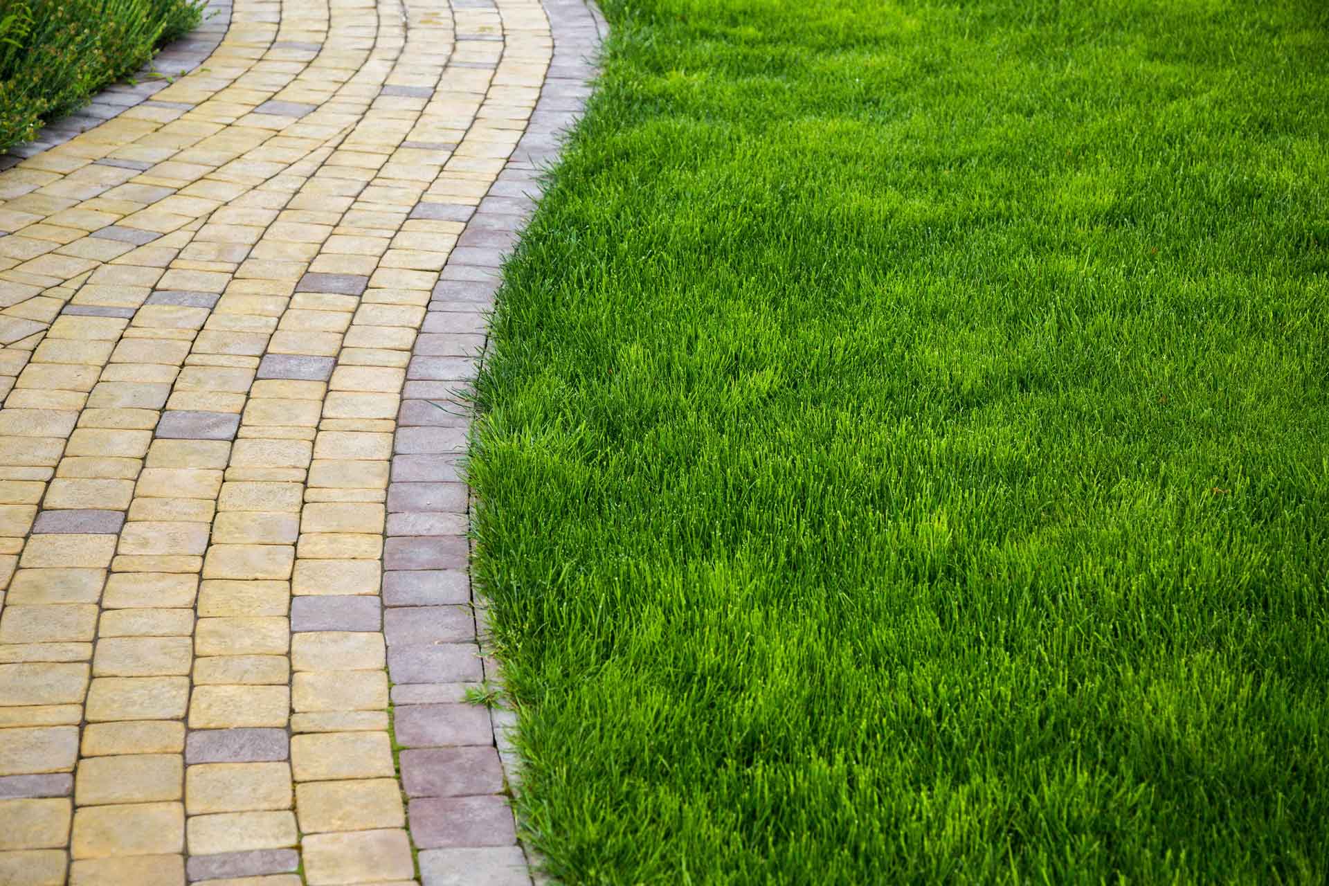 Brick path winding through green lawn